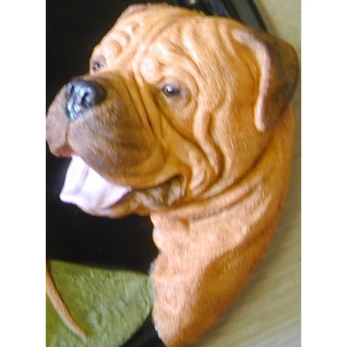 House Sign - Hand Painted - Bull Mastiff 4 House Sign - Hand Painted - Bull Mastiff - Image 2