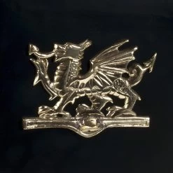 Deluxe Polished Brass “Draig- Welsh Dragon" Wall Mounted Post Box -House Sign Discount Store close up of polished brass dragon motif