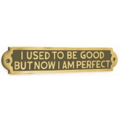 I Used To Be Good Now I Am Perfect