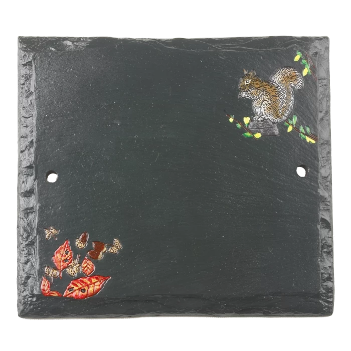 "Hillenbrook Woodland" Squirrel Slate House Number Sign 3 "Hillenbrook Woodland" Squirrel Slate House Number Sign