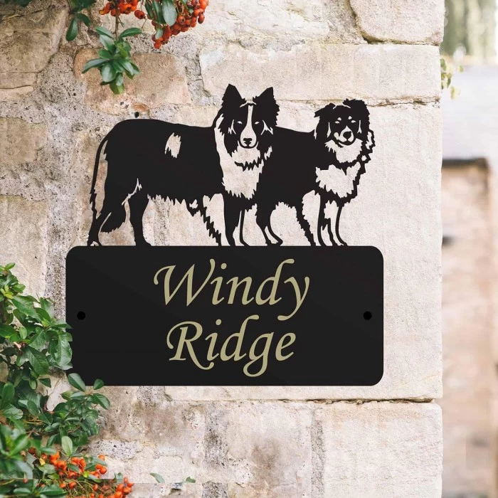 Steel "Pair Of Border Collies" Dog House Name Sign